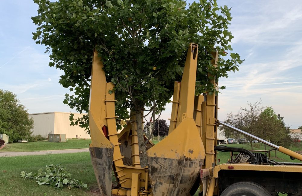 Moving Trees